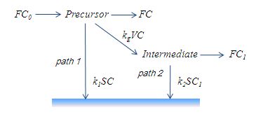 two film-forming species model